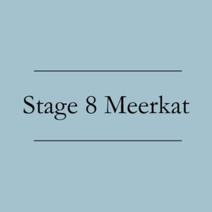 Stage 8 Meerkat
