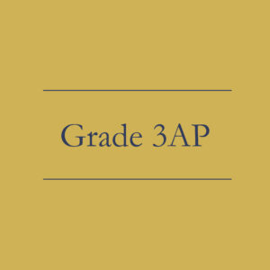 Grade 3AP